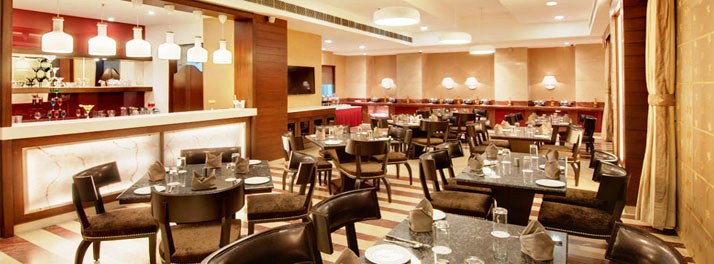 237/The Golden Palms Hotel & Spa - New Delhi 05.jpg